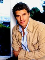 David Boreanaz Sweatshirt #2218572