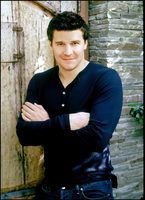 David Boreanaz Sweatshirt #2218576