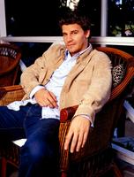 David Boreanaz Sweatshirt #2218578