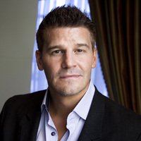 David Boreanaz mug #G580866