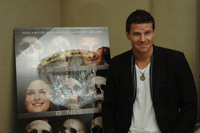 David Boreanaz Sweatshirt #2244417