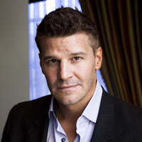 David Boreanaz Longsleeve T-shirt #2244424