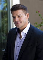 David Boreanaz tote bag #G580878