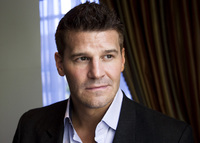 David Boreanaz tote bag #G580880