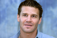 David Boreanaz mug #G624214