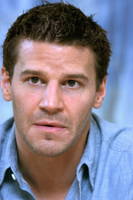 David Boreanaz Sweatshirt #2288136