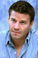 David Boreanaz mug #G624217