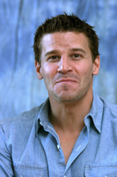 David Boreanaz mug #G624218