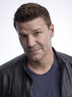 David Boreanaz Longsleeve T-shirt #2348686