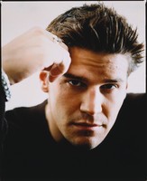 David Boreanaz Longsleeve T-shirt #2627700