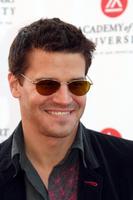 David Boreanaz Longsleeve T-shirt #3061306