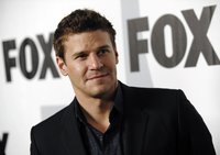 David Boreanaz Sweatshirt #3061318