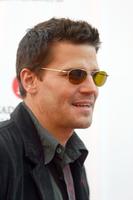 David Boreanaz Longsleeve T-shirt #3061329