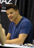 David Boreanaz Longsleeve T-shirt #3061330