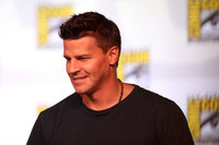 David Boreanaz Longsleeve T-shirt #3061337