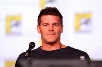 David Boreanaz Sweatshirt #3061346