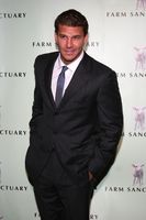David Boreanaz Longsleeve T-shirt #3061362