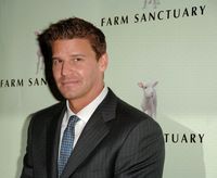 David Boreanaz mug #G1303468