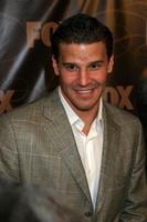 David Boreanaz tote bag #G1303474