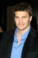 David Boreanaz Longsleeve T-shirt #3061378