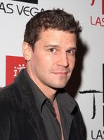 David Boreanaz Longsleeve T-shirt #3061380