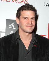 David Boreanaz Longsleeve T-shirt #3061385