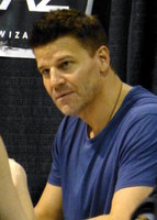 David Boreanaz mug #G1303501