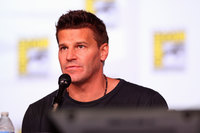 David Boreanaz Longsleeve T-shirt #3061409