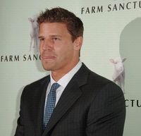 David Boreanaz Longsleeve T-shirt #3061410