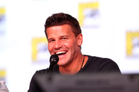 David Boreanaz mug #G1303523