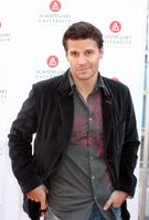 David Boreanaz Sweatshirt #3061427