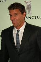 David Boreanaz Longsleeve T-shirt #3061435
