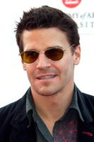 David Boreanaz Longsleeve T-shirt #3061443