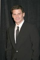 David Boreanaz Longsleeve T-shirt #3061445