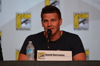David Boreanaz mug #G1303544