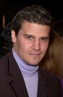 David Boreanaz Sweatshirt #3061451