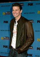 David Boreanaz Longsleeve T-shirt #3061453