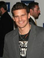 David Boreanaz Sweatshirt #3061471