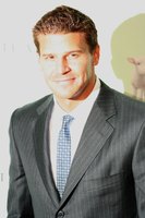 David Boreanaz Sweatshirt #3061479