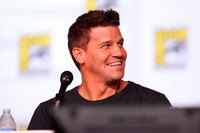 David Boreanaz Longsleeve T-shirt #3061481