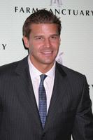 David Boreanaz mug #G1303584