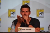 David Boreanaz mug #G1303585