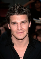David Boreanaz tote bag #G1303588
