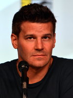 David Boreanaz mug #G1303598