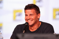 David Boreanaz Longsleeve T-shirt #3061503