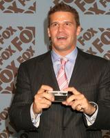 David Boreanaz mug #G1303603