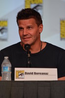 David Boreanaz mug #G1303608