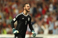David De Gea hoodie #3337808