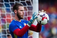 David De Gea t-shirt #3337829