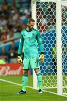 David De Gea Longsleeve T-shirt #3337863